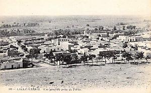 Marnia 228